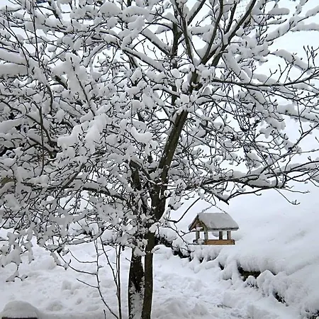 Buchschneider - Maier - Landhof * Schwarzautal
