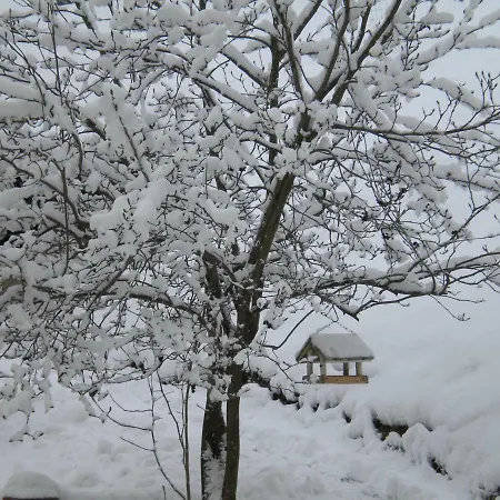 펜션 Buchschneider - Maier - Landhof