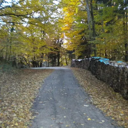 Buchschneider - Maier - Landhof *